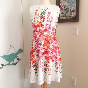 Size 8 sleeveless floral lace dress